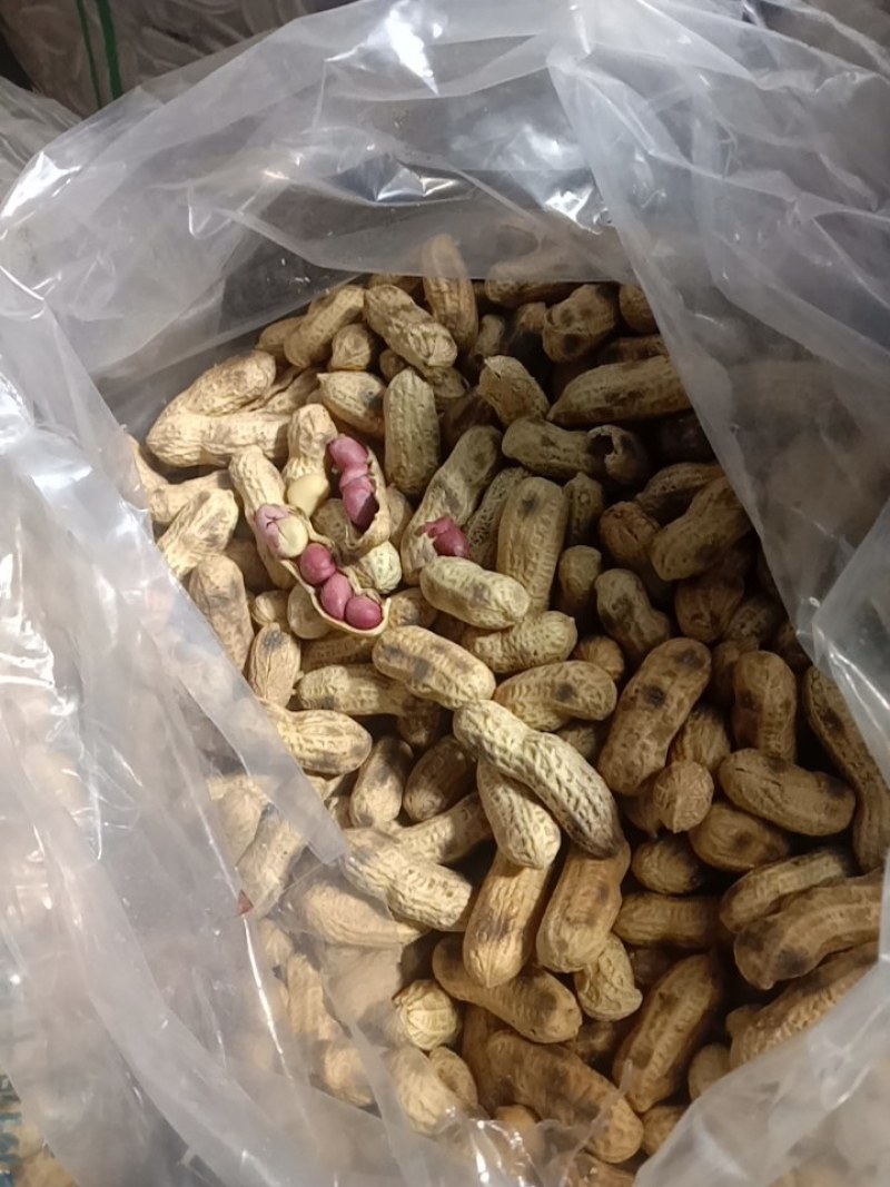 炒天府花生，炒小仔花生，咸干花生，煮花生，各种熟花生