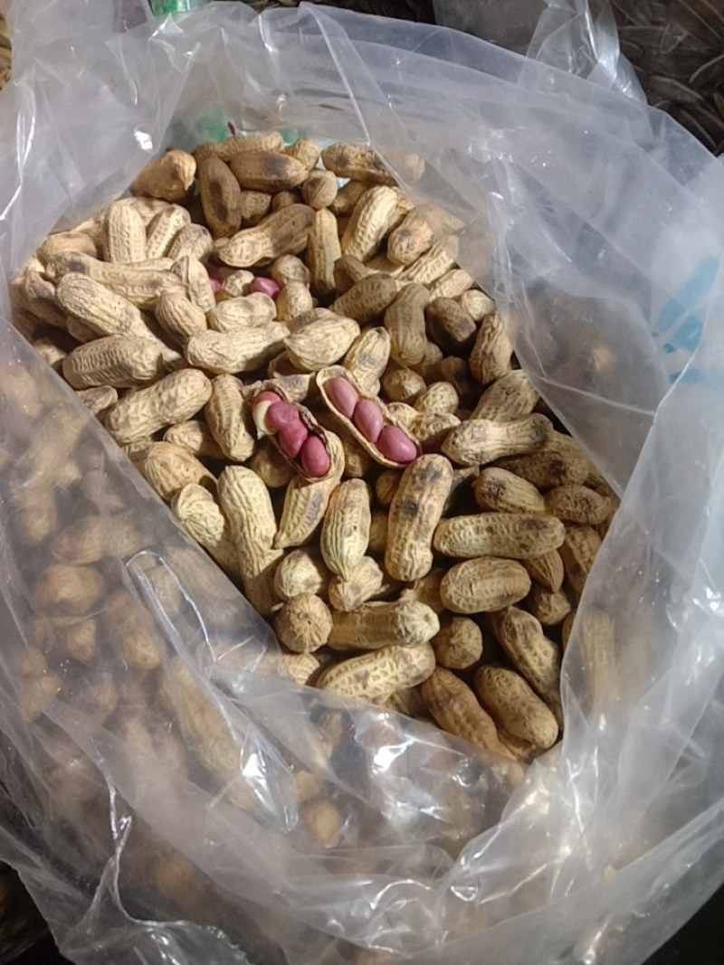 炒天府花生，炒小仔花生，咸干花生，煮花生，各种熟花生