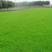 剪股颖种子草坪种子低矮庭院别墅球场公园绿化耐践踏草
