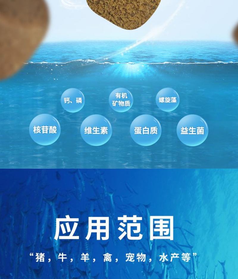 秘鲁进口蒸汽鱼粉饲料高蛋白大量有货源头商家一手货源全国批