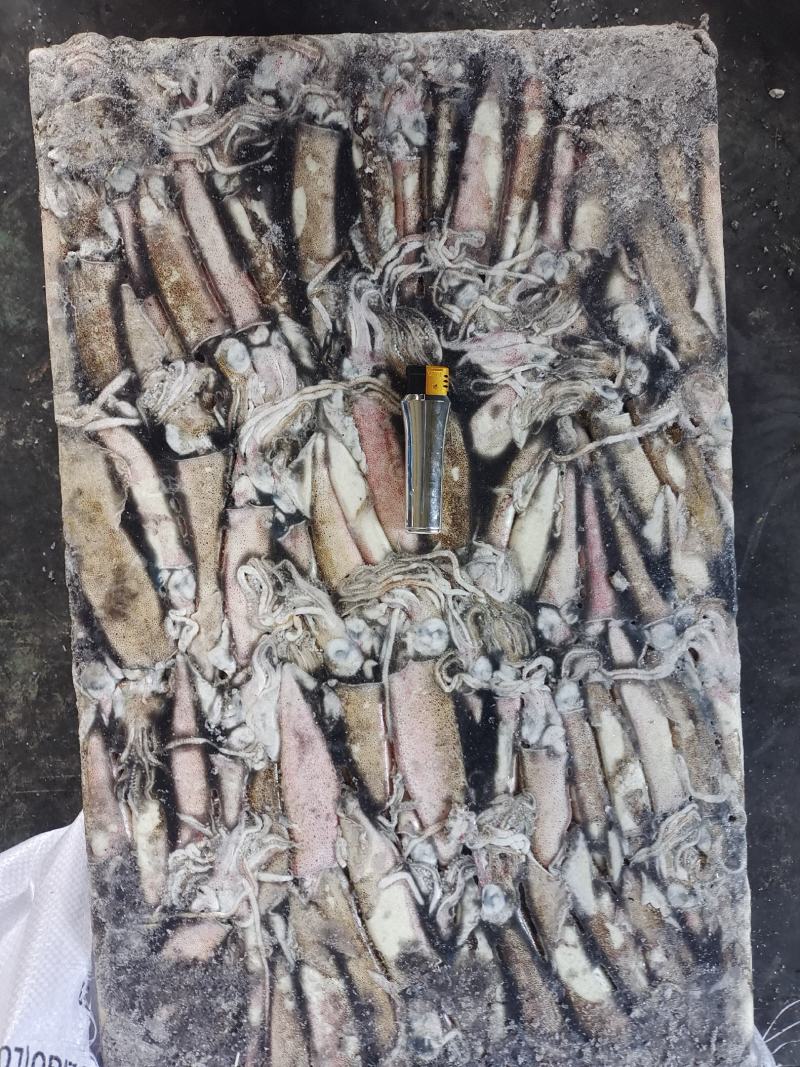 笔管鱼，鱼曾，小鱿鱼，阿根廷2M，火锅自助，市场销售