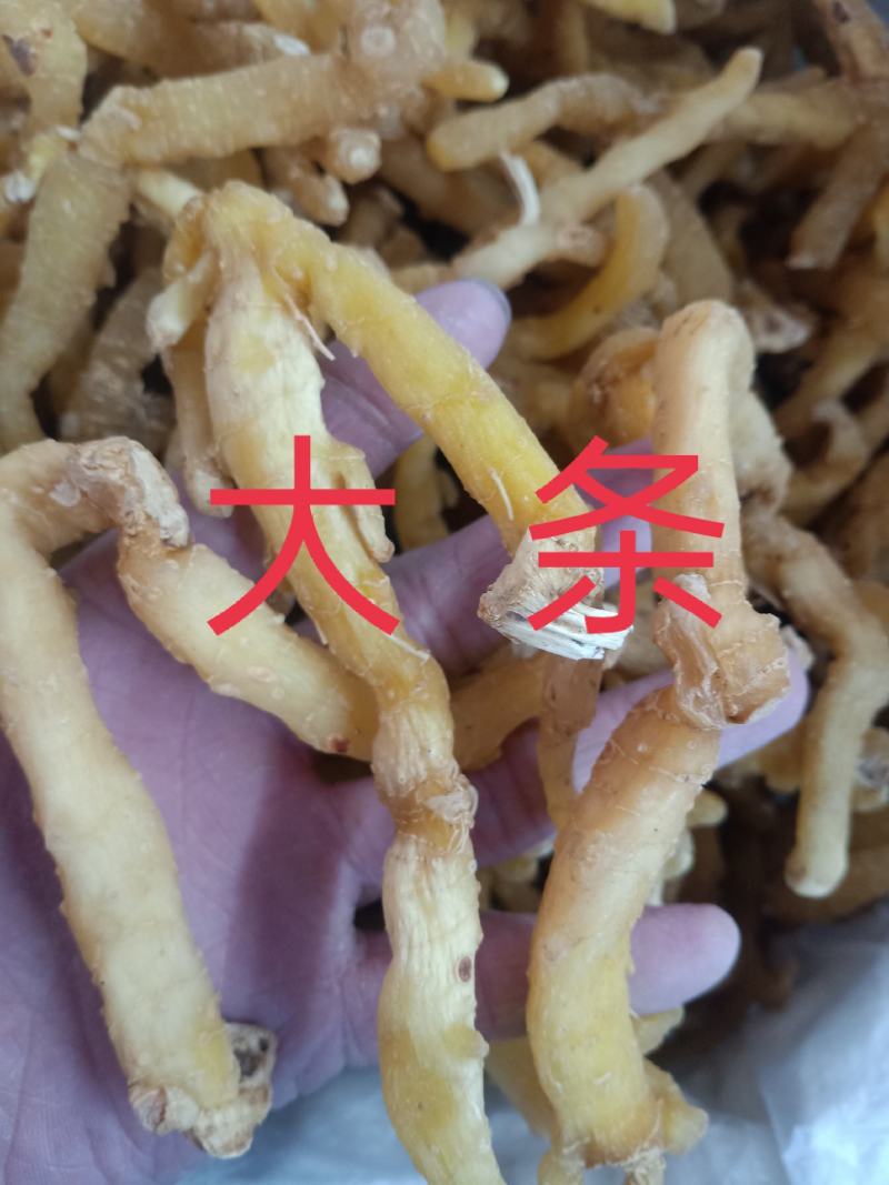 玉竹，玉竹条统货质量保证，经营各种中药材欢迎咨询合作！