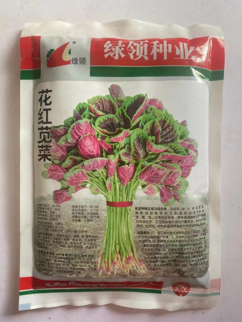 红苋菜种子绿领花红苋菜中熟耐热性较强