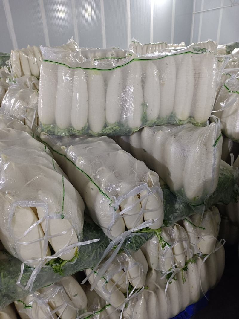 萝卜湖北天门，精品萝卜，万亩基地，提供各种包装！