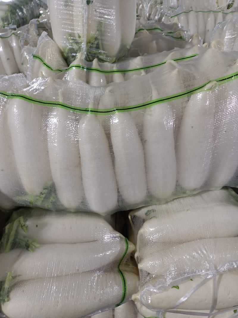 萝卜湖北天门，精品萝卜，万亩基地，提供各种包装！