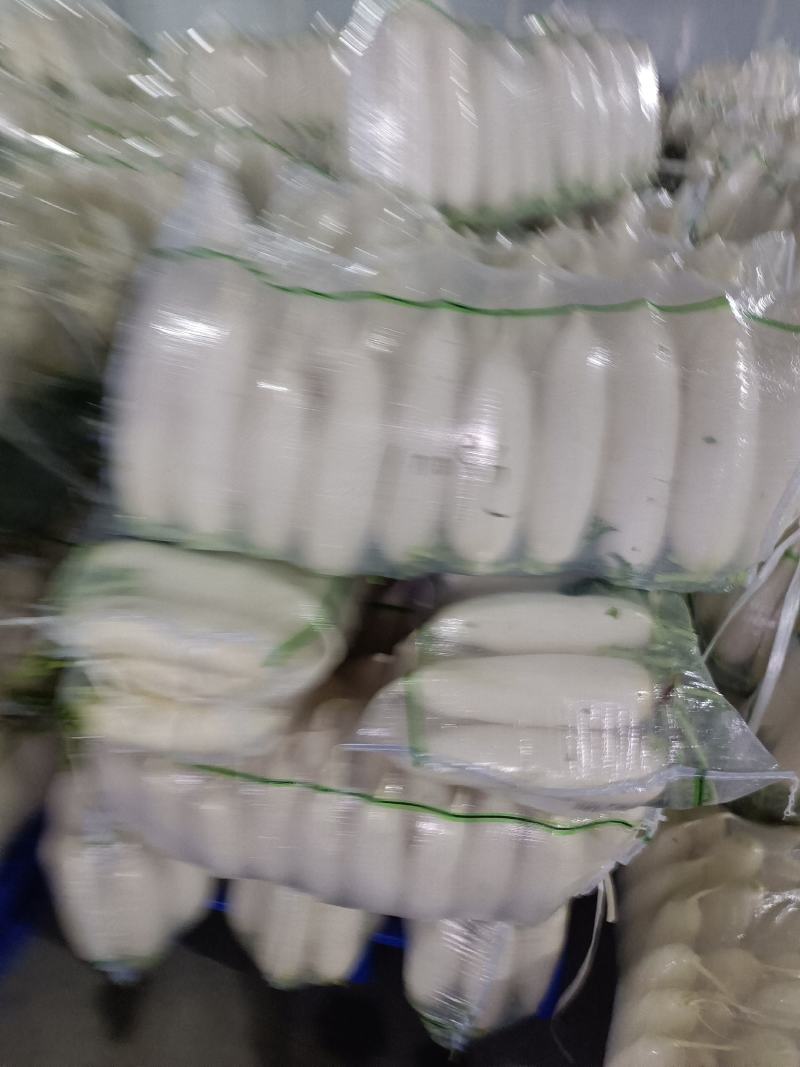 萝卜湖北天门，精品萝卜，万亩基地，提供各种包装！