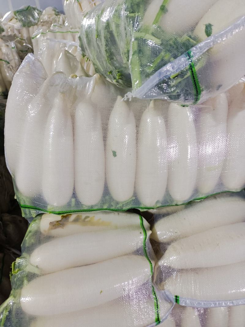 萝卜湖北天门，精品萝卜，万亩基地，提供各种包装！