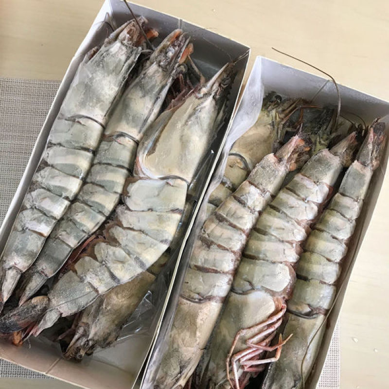 特大黑虎虾新鲜活冻核酸消毒手续齐全安全放心虎虾斑节虾