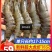 特大黑虎虾新鲜活冻核酸消毒手续齐全安全放心虎虾斑节虾