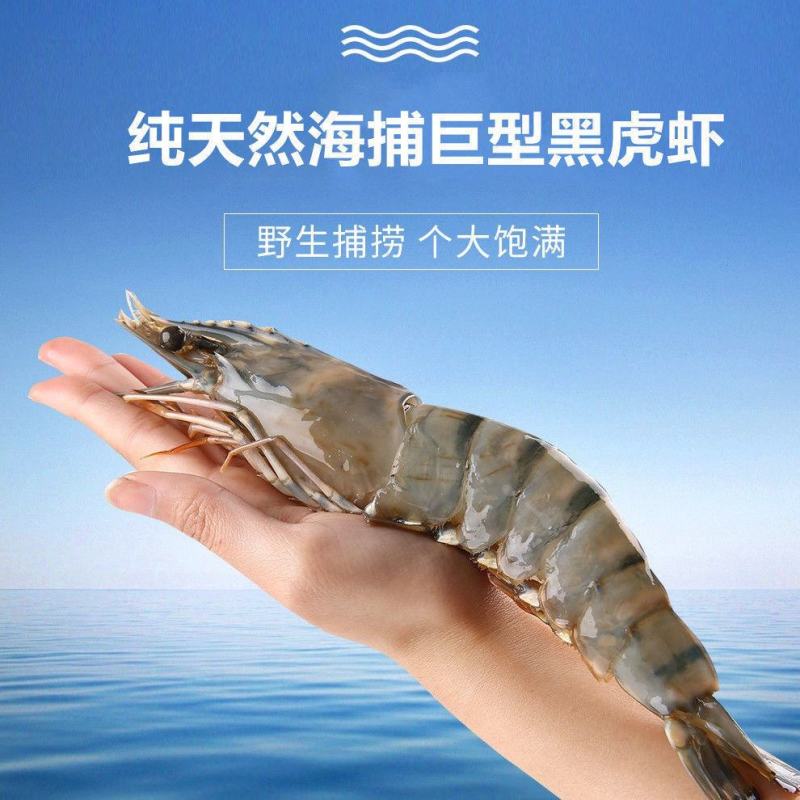 特大黑虎虾新鲜活冻核酸消毒手续齐全安全放心虎虾斑节虾