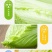 龙芽菜