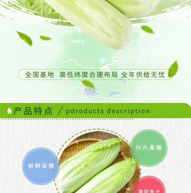 龙芽菜