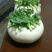 玉环江江盘菜批发，