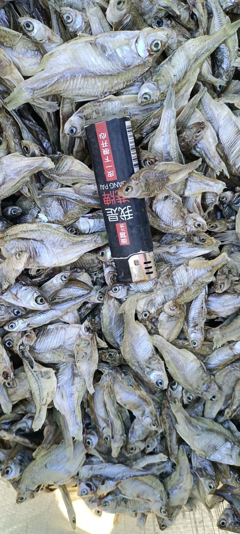 鱼干猫粮鱼，小白条鱼干，刁子鱼干，鳑鲏鱼干请打电话联系！