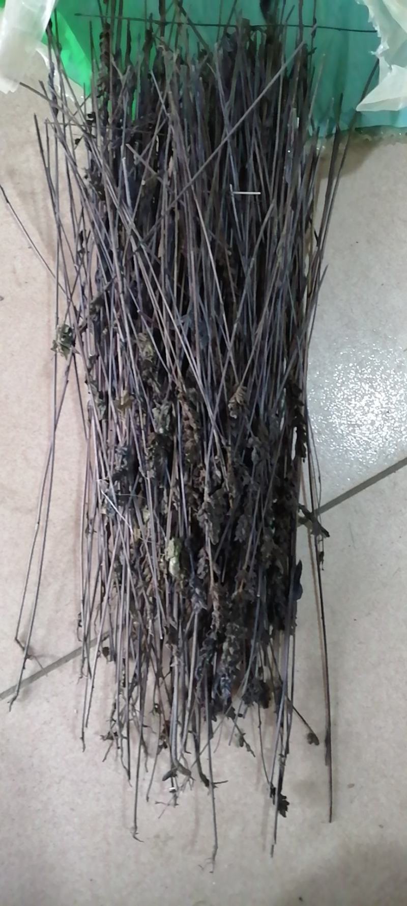 荆芥荆芥穗炒荆芥穗荆芥炭黑芥穗冷背药材齐全
