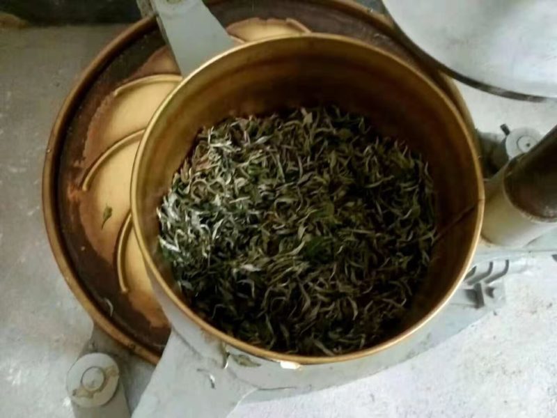 丹霞山红茶