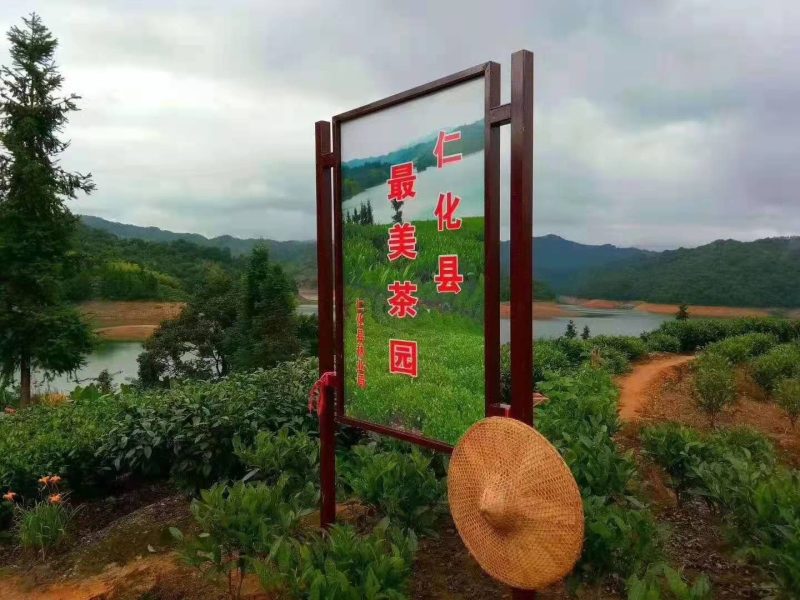 丹霞山红茶