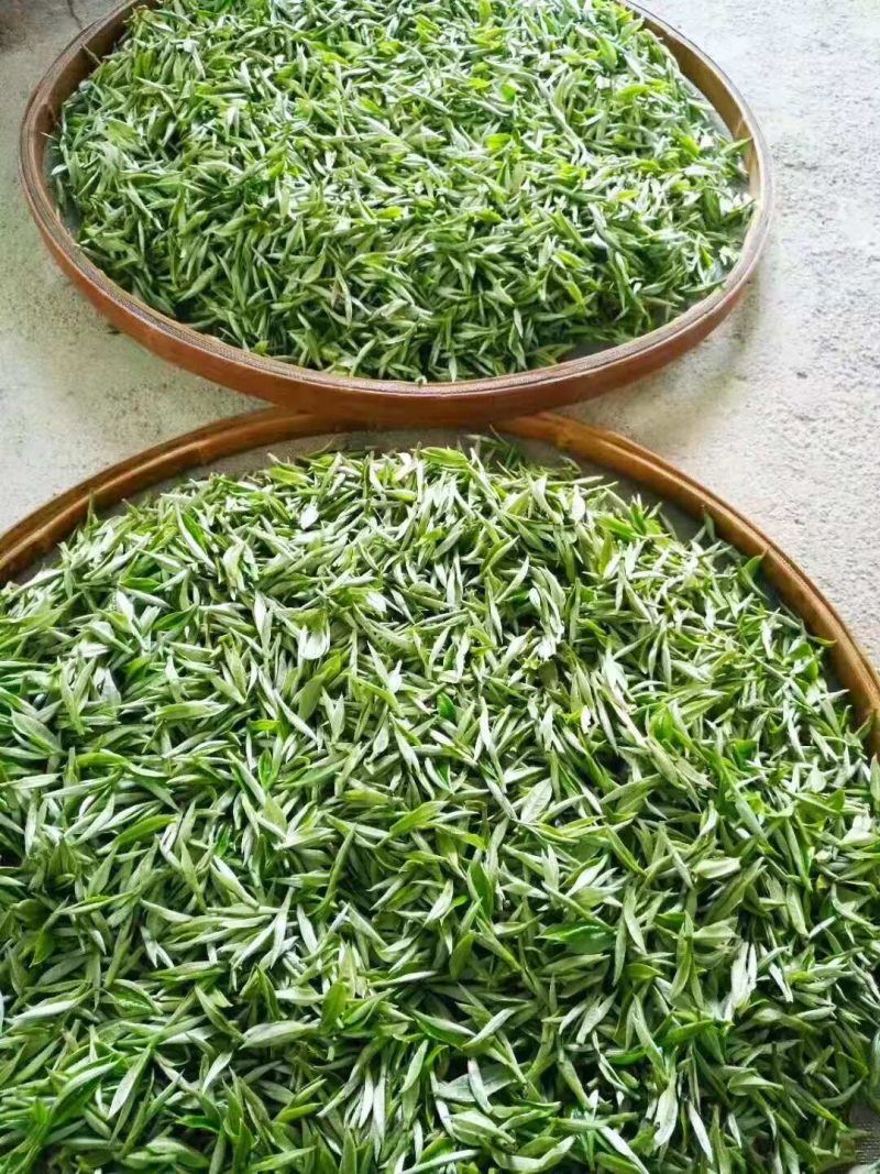 丹霞山红茶