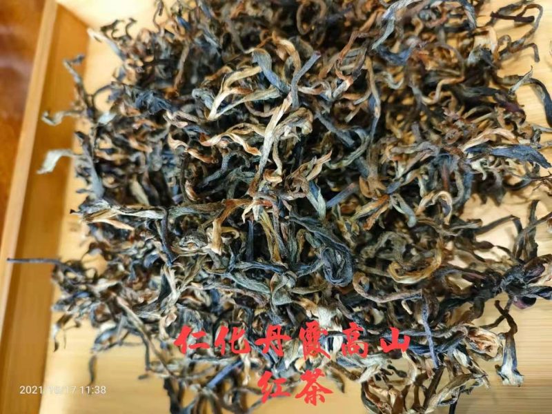 丹霞山红茶