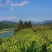 丹霞山红茶