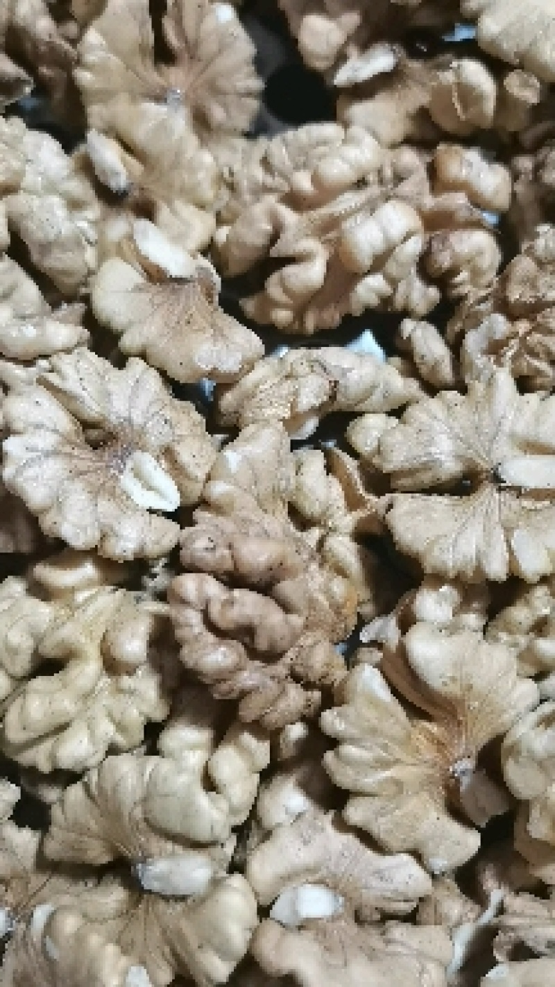 云南核桃仁，尖白核桃仁果肉肥，量大价格从优。