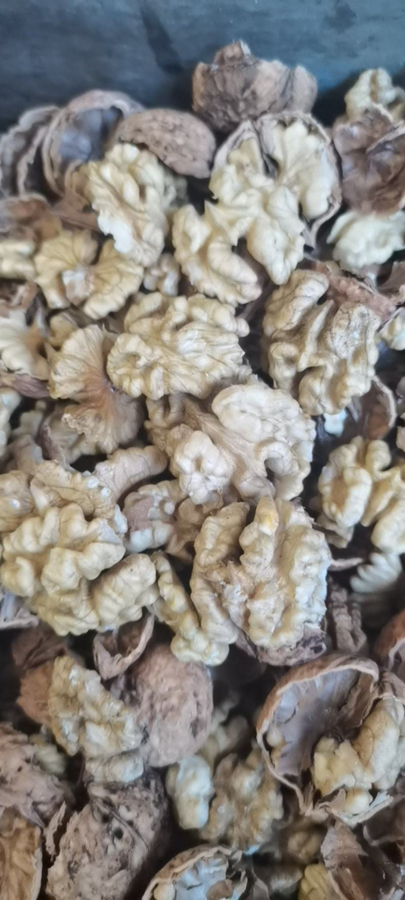 云南核桃仁，尖白核桃仁果肉肥，量大价格从优。