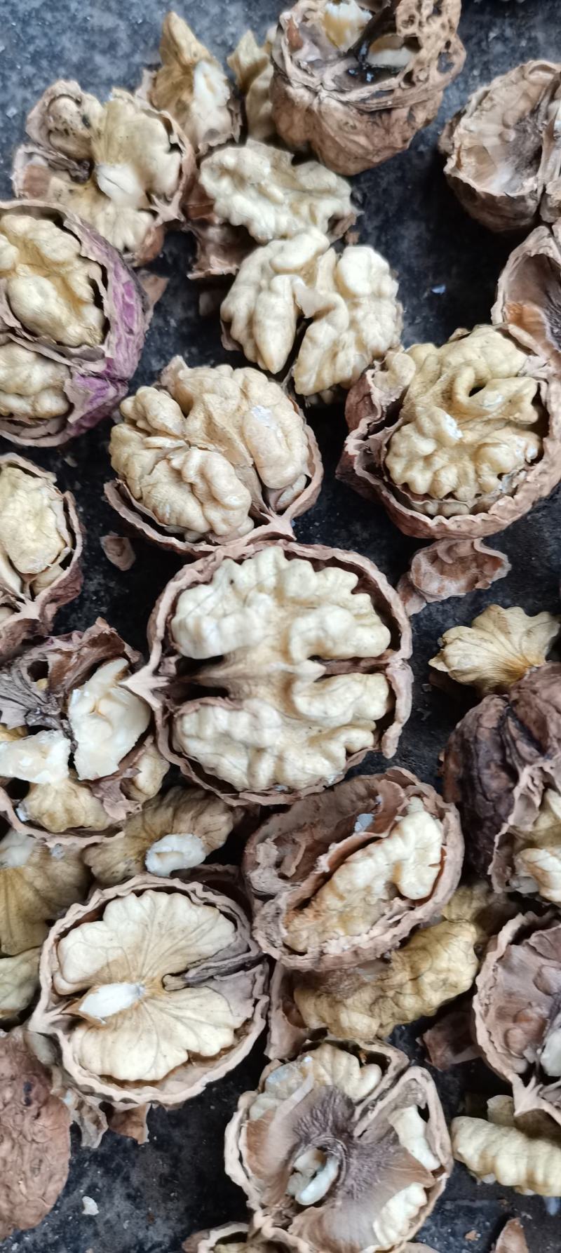 云南核桃仁，尖白核桃仁果肉肥，量大价格从优。