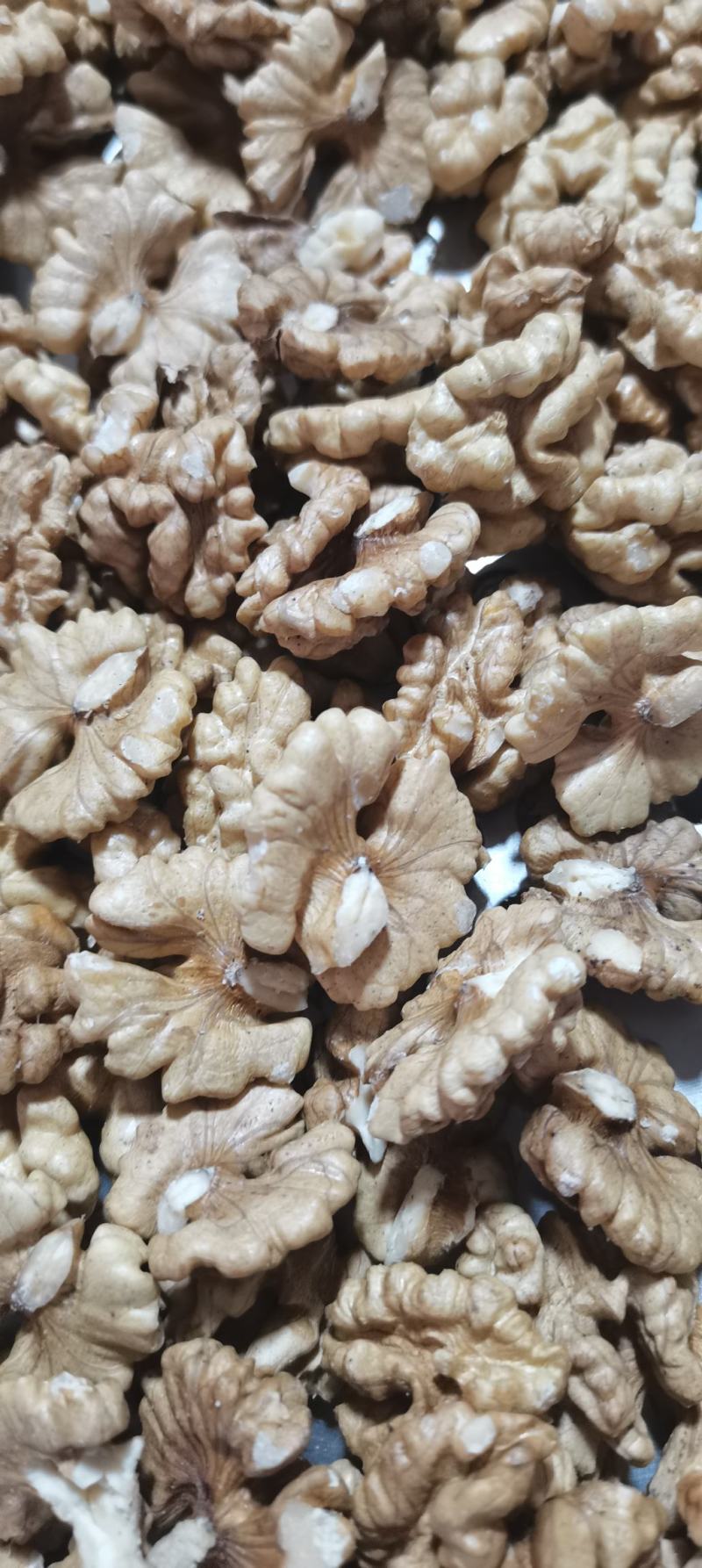 云南核桃仁，尖白核桃仁果肉肥，量大价格从优。