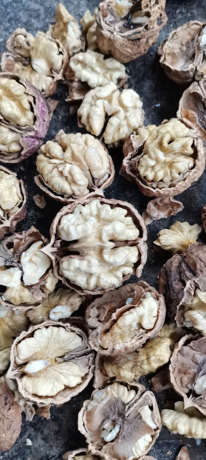 云南核桃仁，尖白核桃仁果肉肥，量大价格从优。