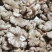 云南核桃仁，尖白核桃仁果肉肥，量大价格从优。
