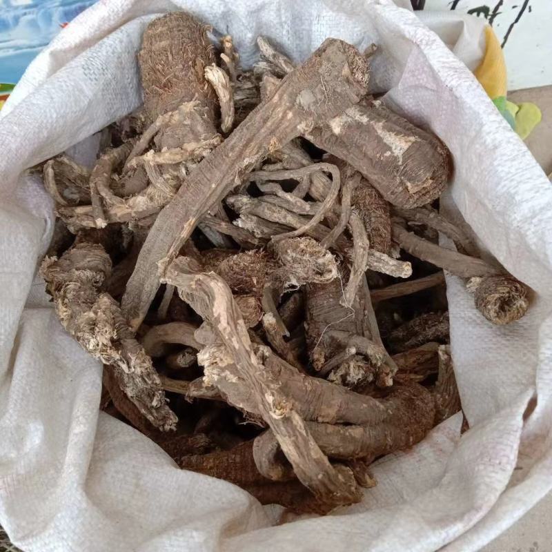 野生当归。藏当归。纯正西藏野生当归，一手货源，年份足