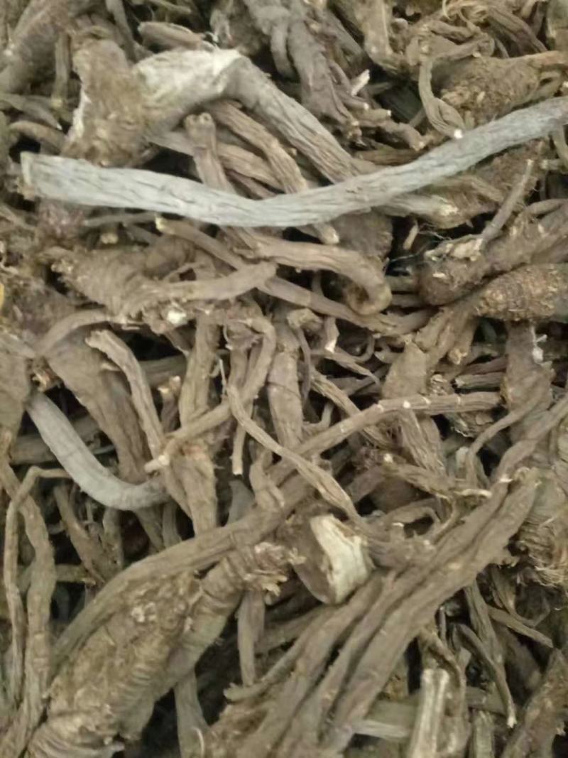 野生当归。藏当归。纯正西藏野生当归，一手货源，年份足