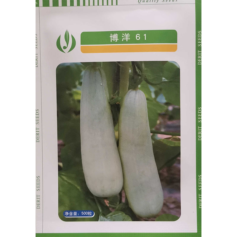 博洋9号甜瓜种子正品博洋九号羊角蜜种甜王早熟高甜酥脆抗