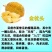 广西榴莲树苗嫁接金枕头榴莲苗批发营养苗发货。