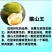 广西榴莲树苗嫁接金枕头榴莲苗批发营养苗发货。