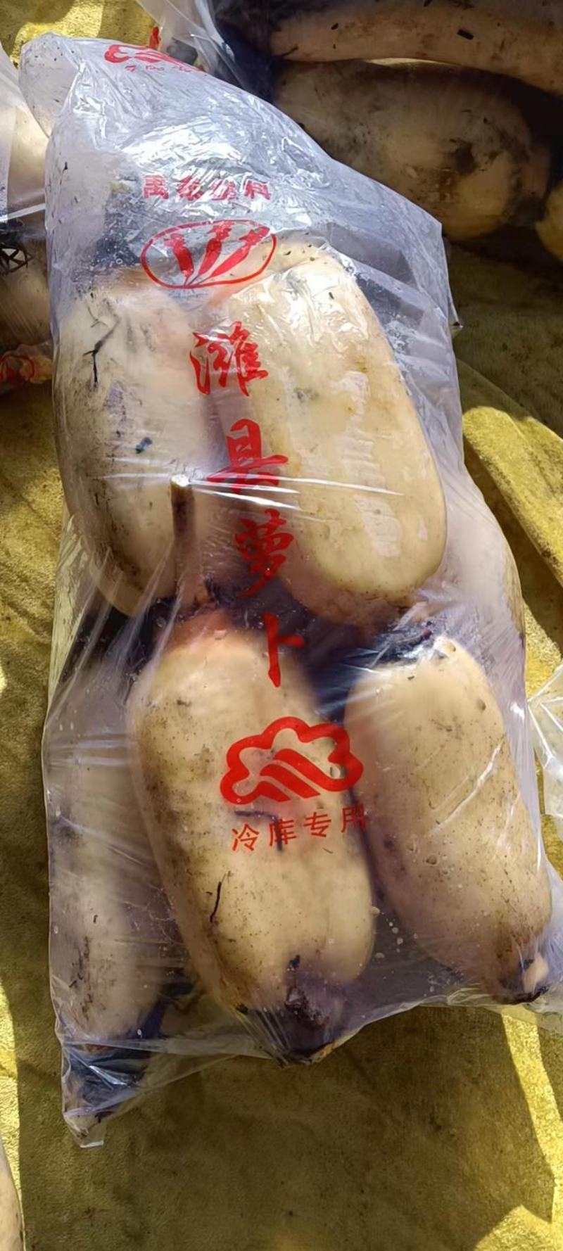 自家莲藕，农户自产自销，千亩莲藕，量大从优