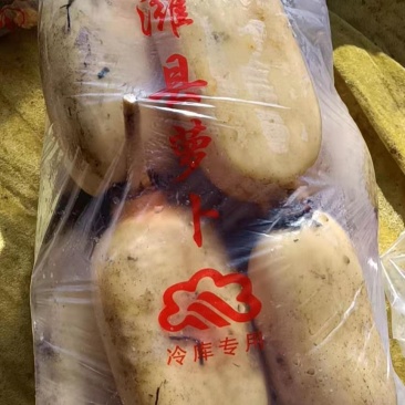 莲藕量大优惠，质优价廉，品质保障，欢迎选购