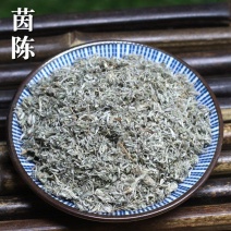 野生茵陈2021年新货绵茵陈三月茵陈草白篙茵陈茶