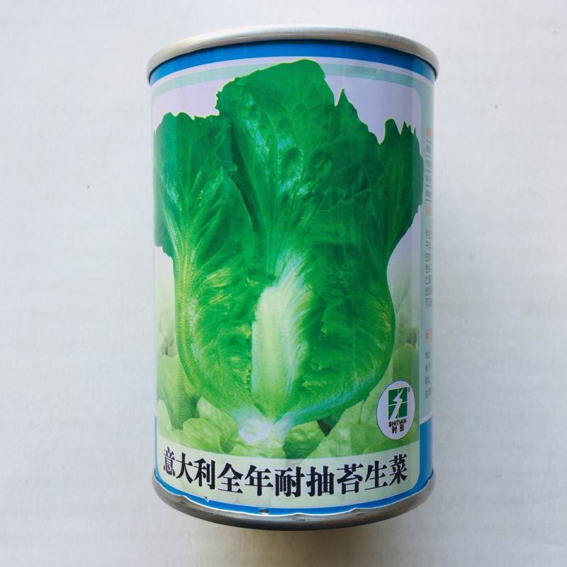 意大利全年耐抽苔生菜种子厂家直发常年供应生菜种子