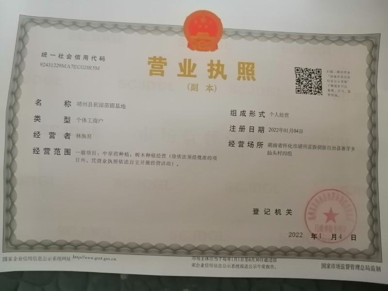 油桐苗又名桐油子，成活率特高，投资小，回报大，需要的赶紧