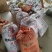丝瓜籽种子软丝瓜种子水瓜优良品种杂交育种