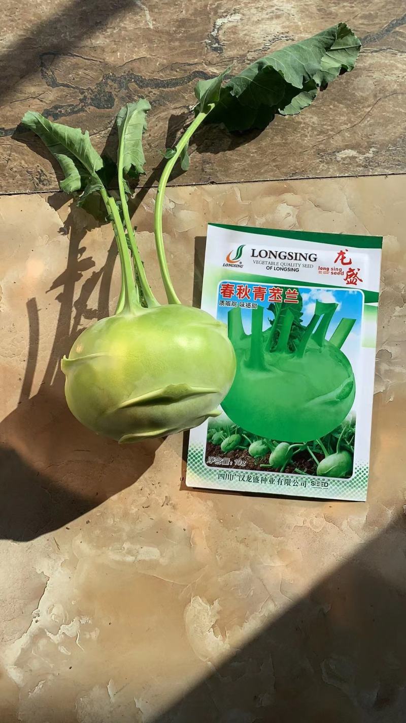 龙盛春秋青苤兰种子质嫩脆，味细甜苤蓝种子春秋两用球茎甘蓝