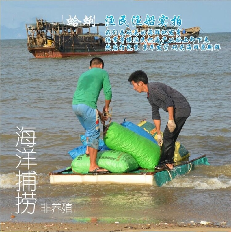 一斤包邮批发花甲蛤肉干货海鲜蛤蜊肉蚬子干花蛤蜊干即食海产