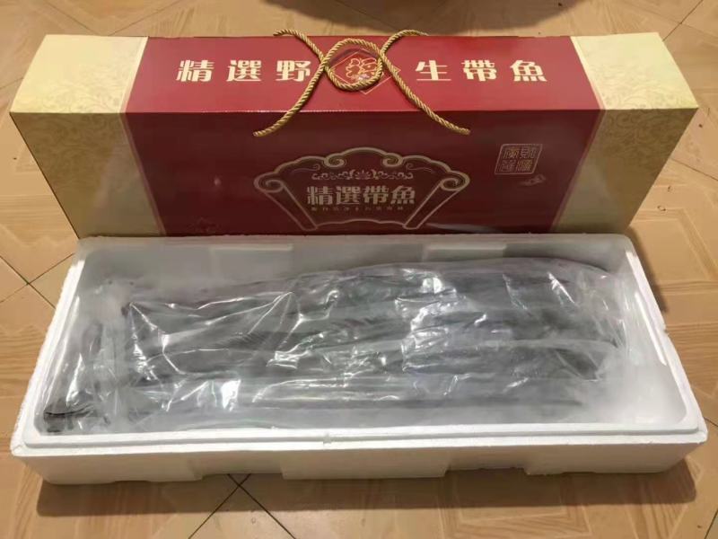 批发【冻鲜带鱼】新鲜出炉自东山岛一盒十斤批发实惠价一手港