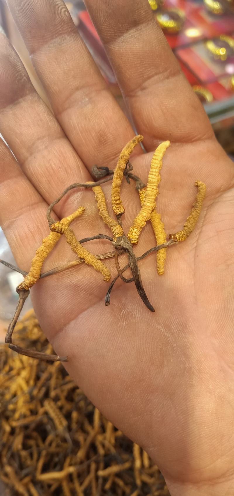 西藏那曲冬虫夏草虫草非种植虫草产地直销那曲冬虫夏草全国包