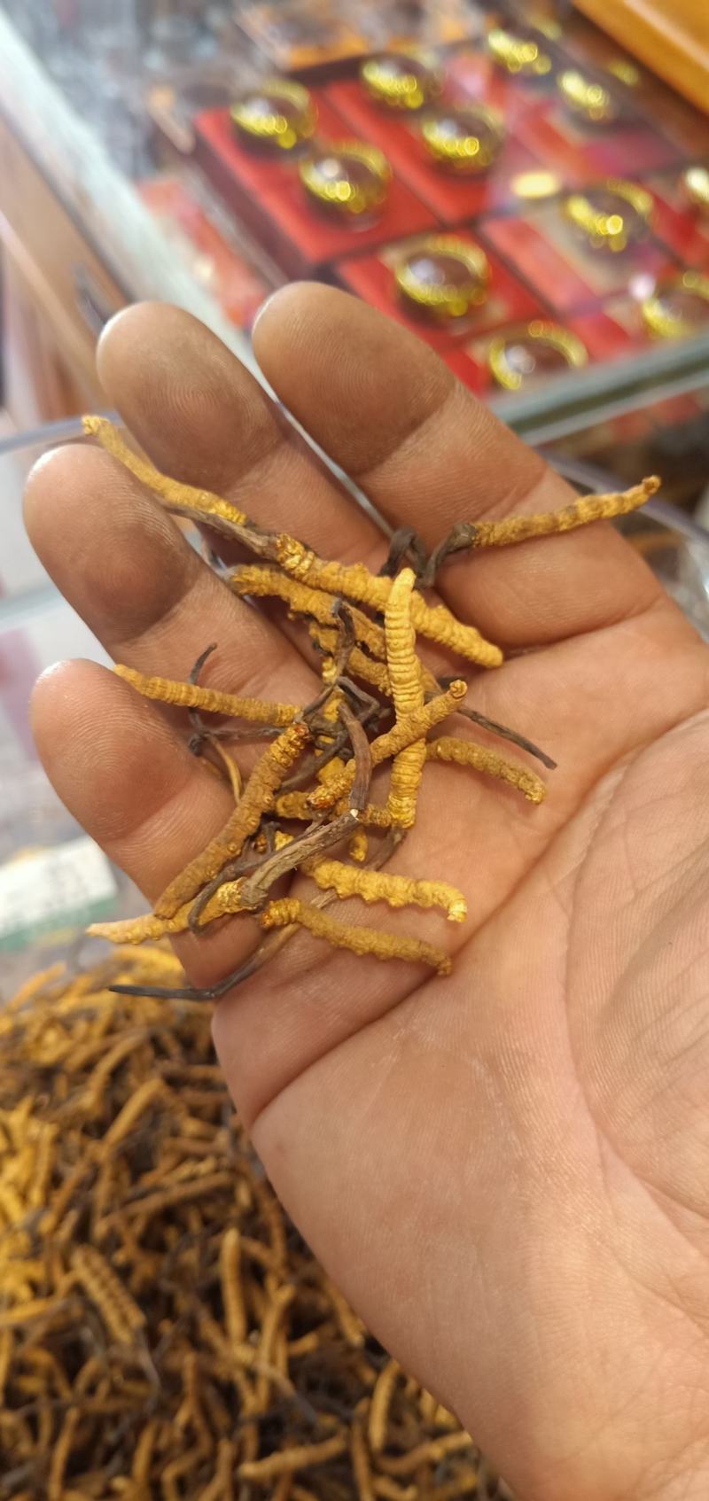 西藏那曲冬虫夏草虫草非种植虫草产地直销那曲冬虫夏草全国包