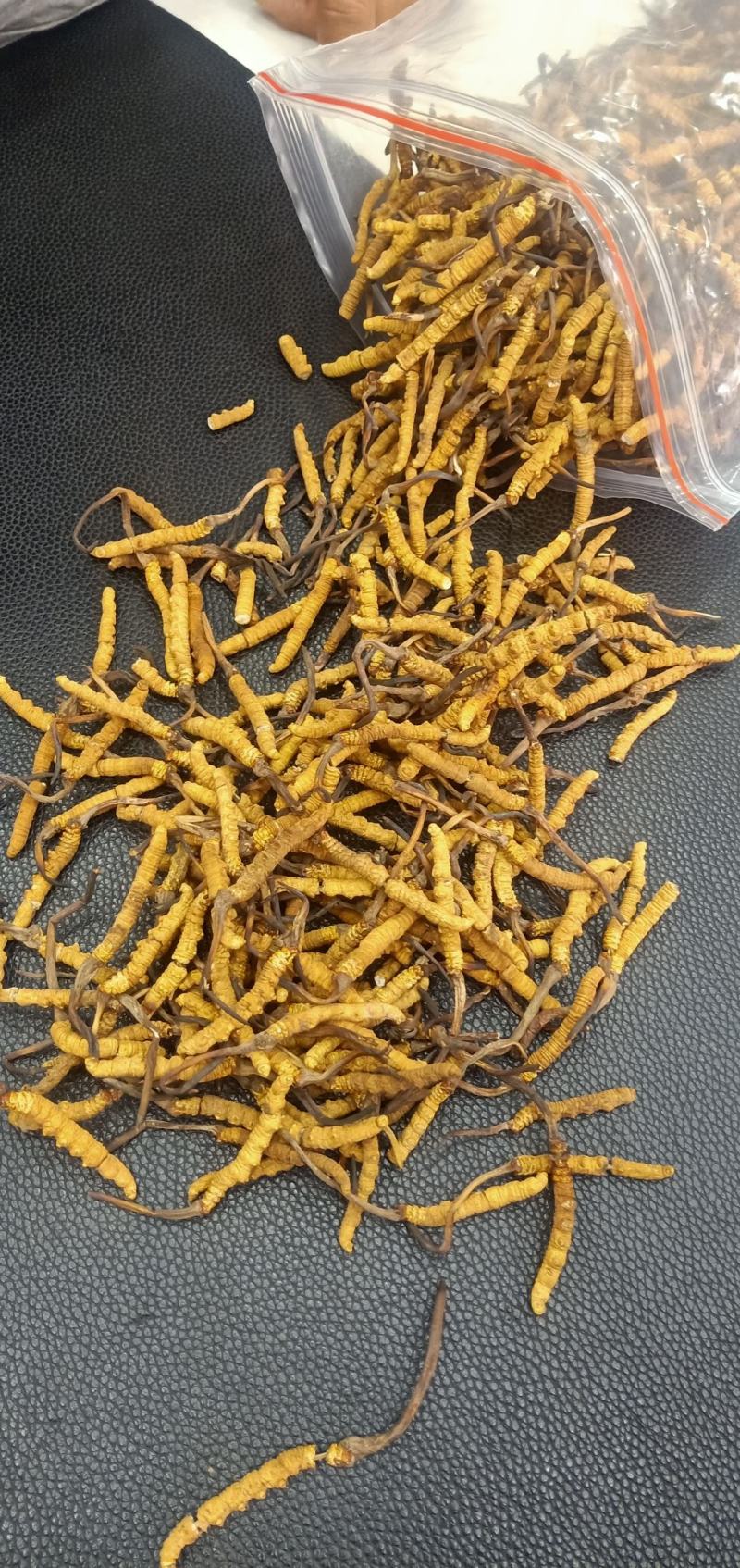 西藏那曲冬虫夏草虫草非种植虫草产地直销那曲冬虫夏草全国包