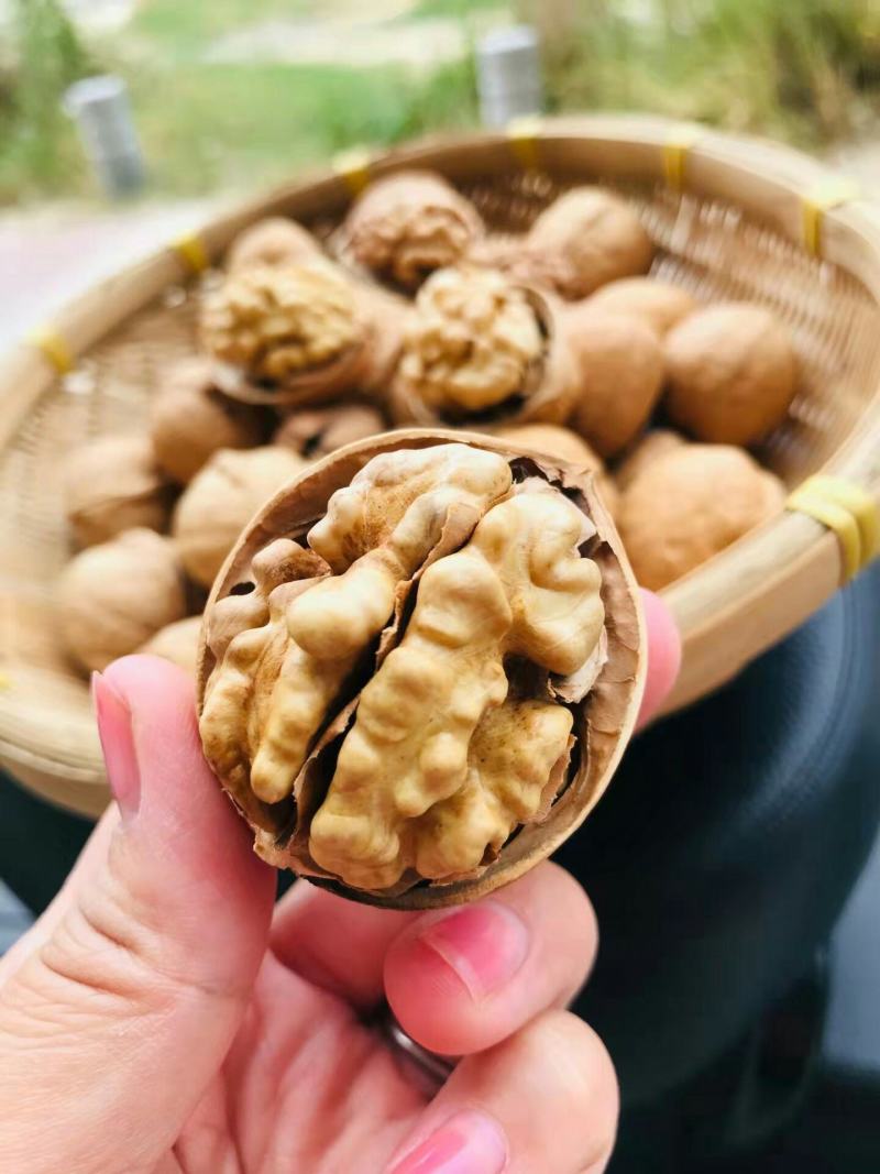 高原有机薄皮核桃，自然晾晒，个大皮薄