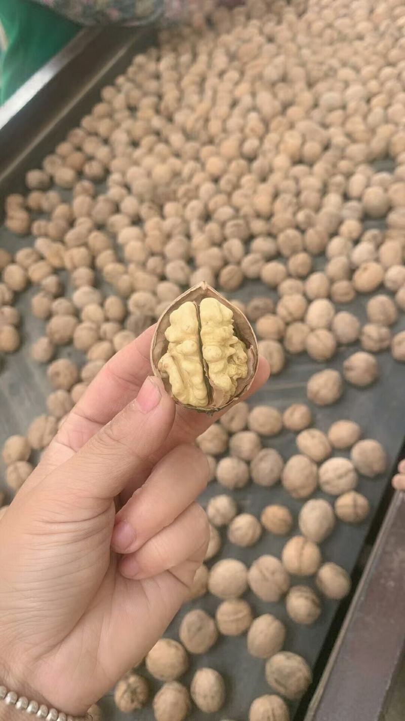 高原有机薄皮核桃，自然晾晒，个大皮薄