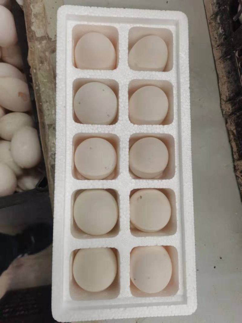 网红爆品，精品小鹅蛋，爆单好产品，欢迎订购
